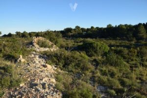 Terreno en las planas 2