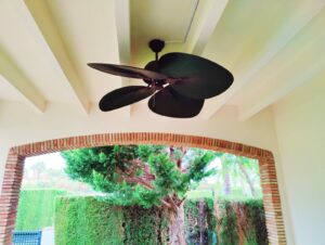 WhatsApp Image 2023 09 02 at 12.51.55 4