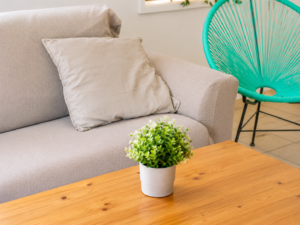 Apartamento Felymar 22