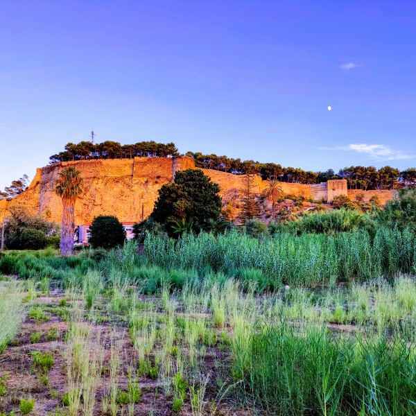 vista del castillo de denia 1